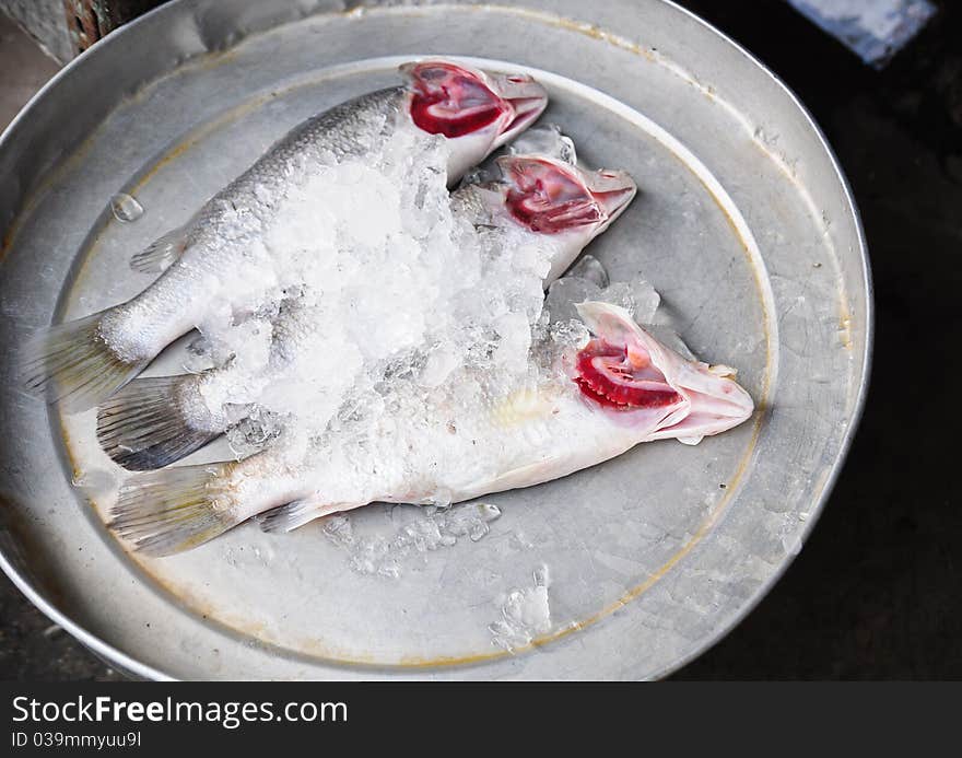 Fresh fish on ice decorated for sale at market