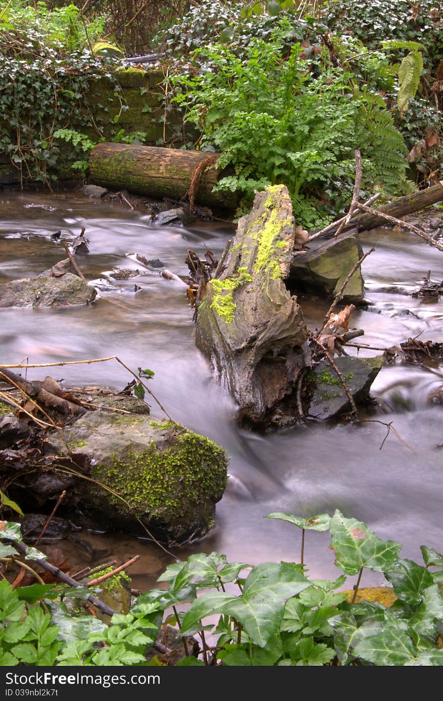 Waterfall In Forest At Spring