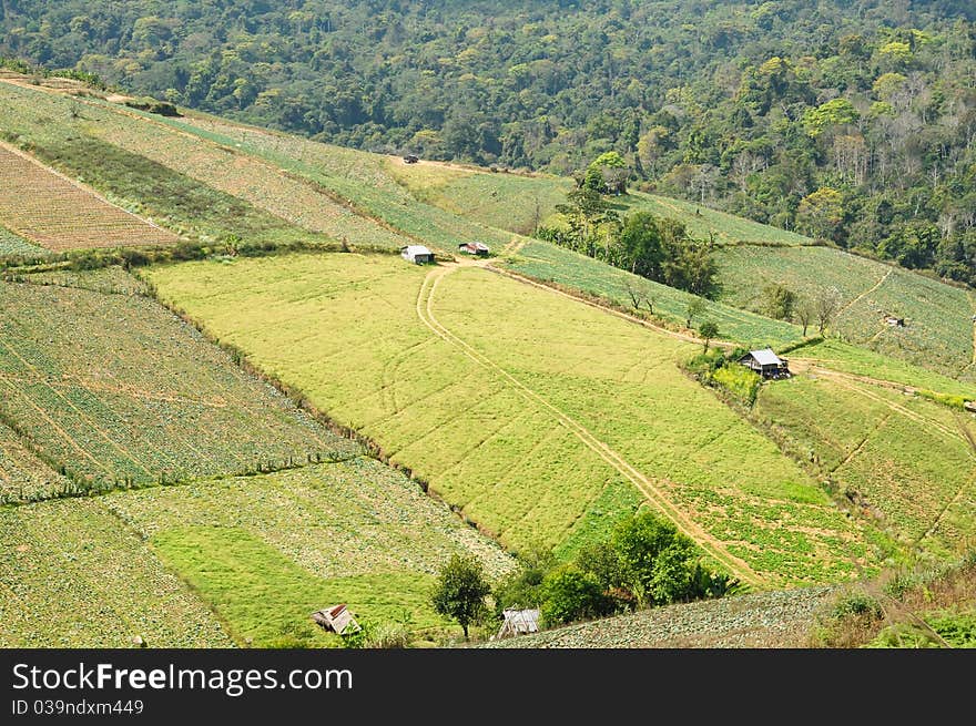 Mountain Landscape And Farm