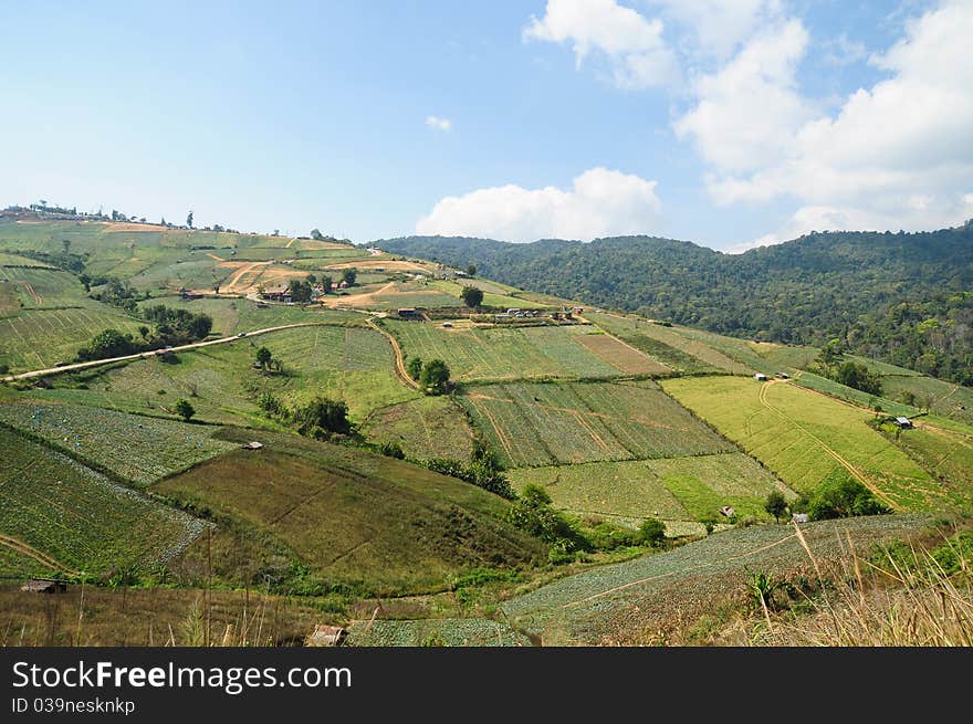 Mountain landscape and farm