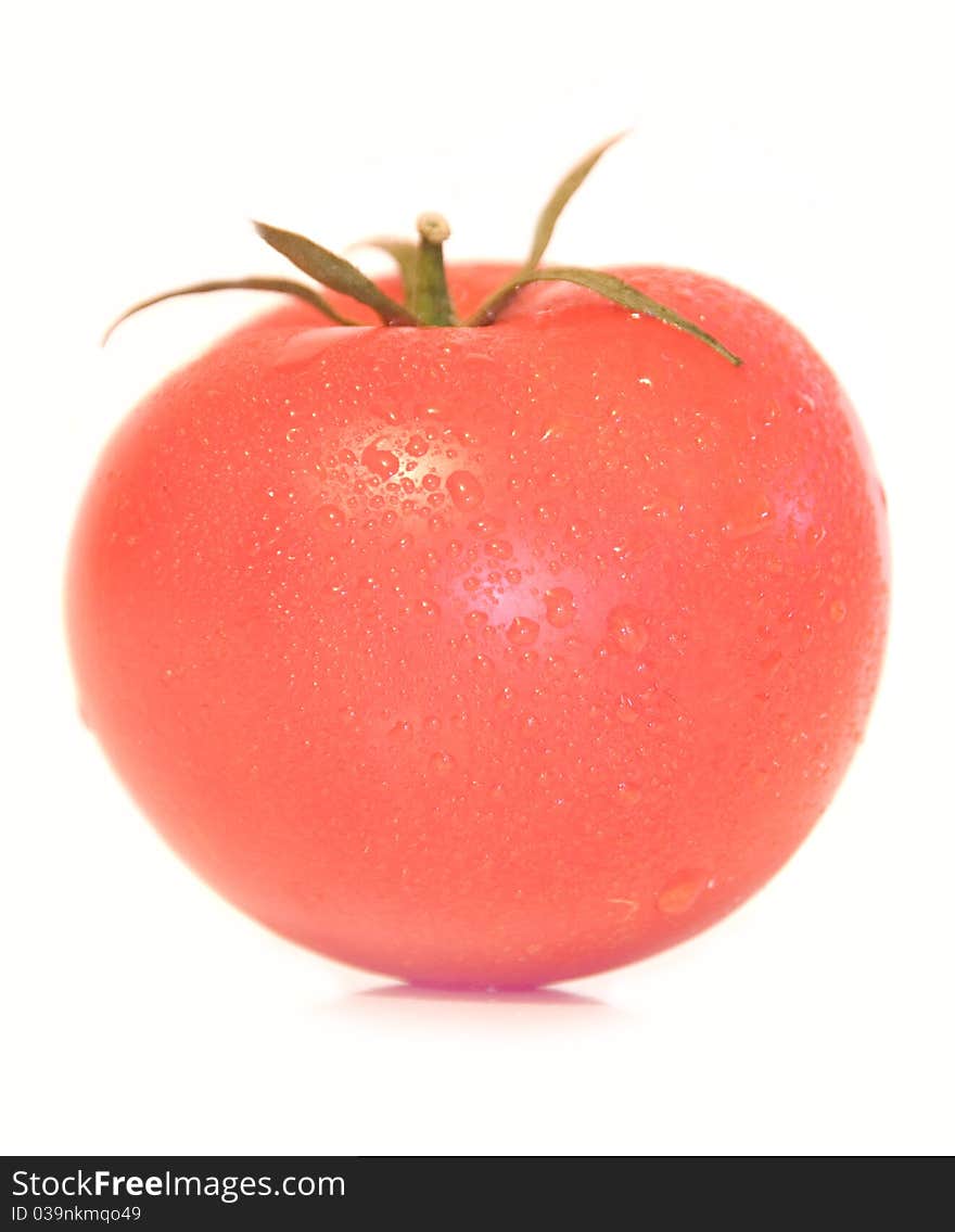 Tomato