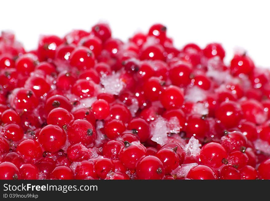 Berries   currant  frozen