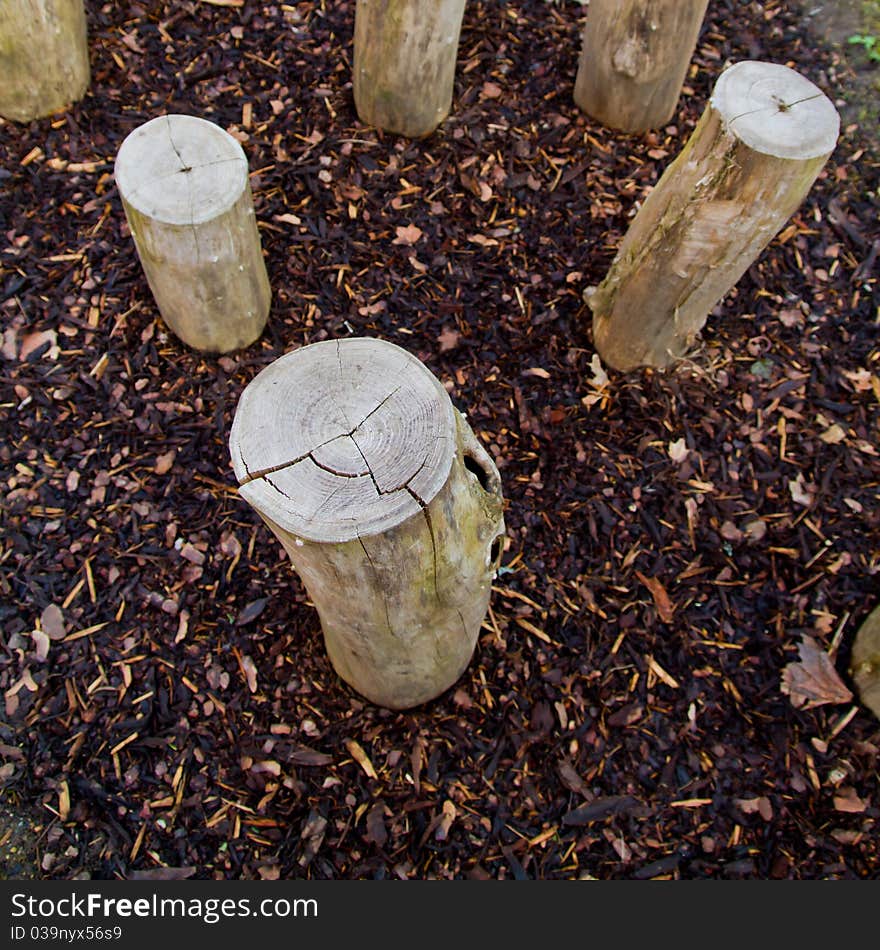 Logs standing in playground