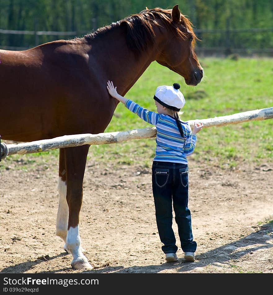 He girl stood on tiptoe and petting a horse. He girl stood on tiptoe and petting a horse