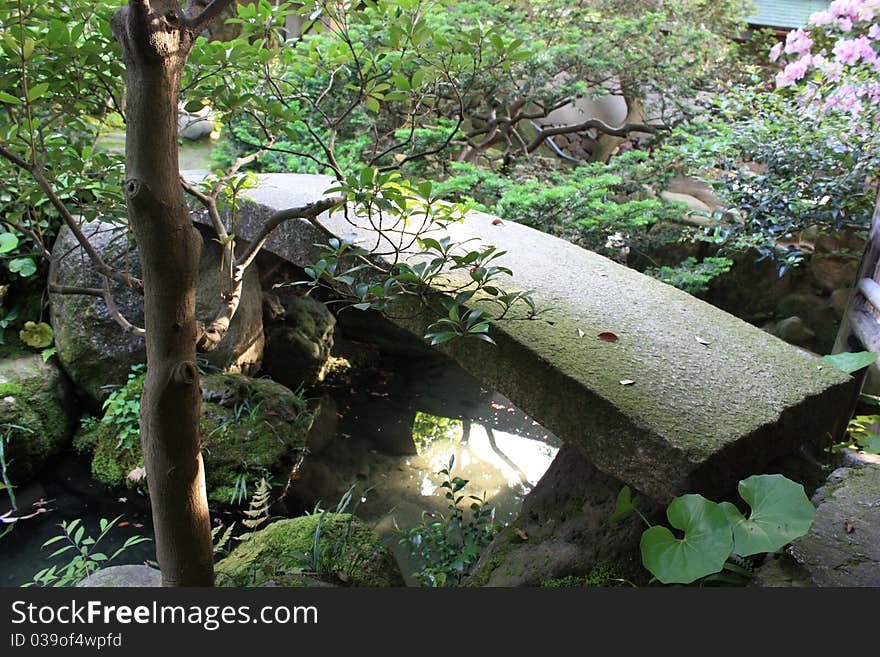 Japanish garden near water.Sacura at may. Japanish garden near water.Sacura at may.