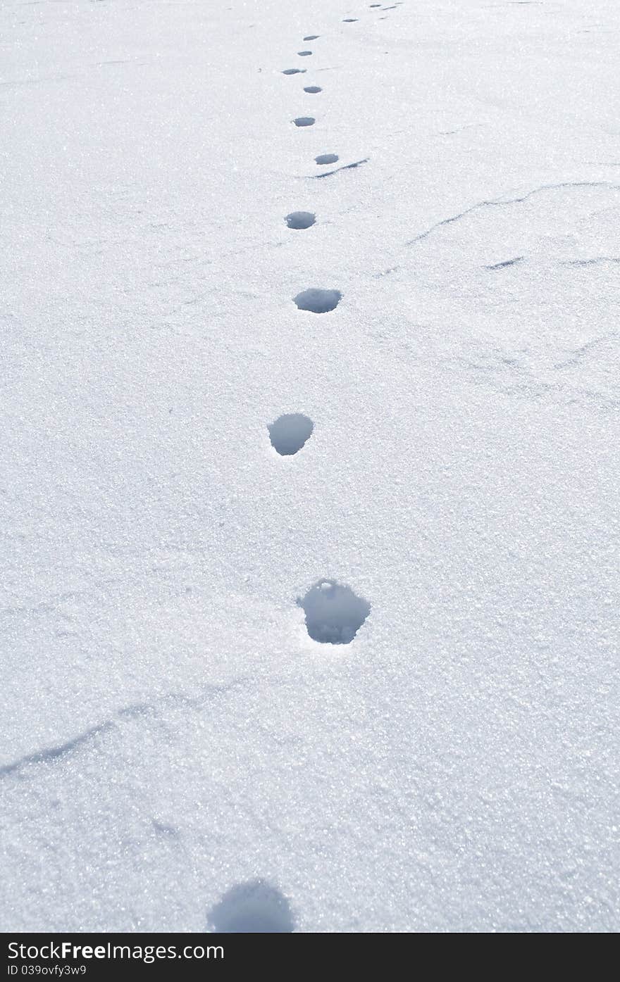 Footsteps in the snow