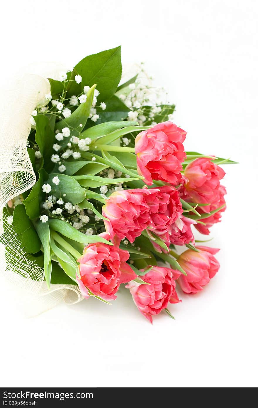 Bouquet of pink tulips on a white background