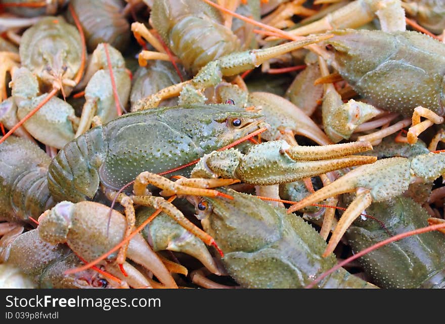 River cancers are good snack under beer well as shrimps. River cancers are good snack under beer well as shrimps