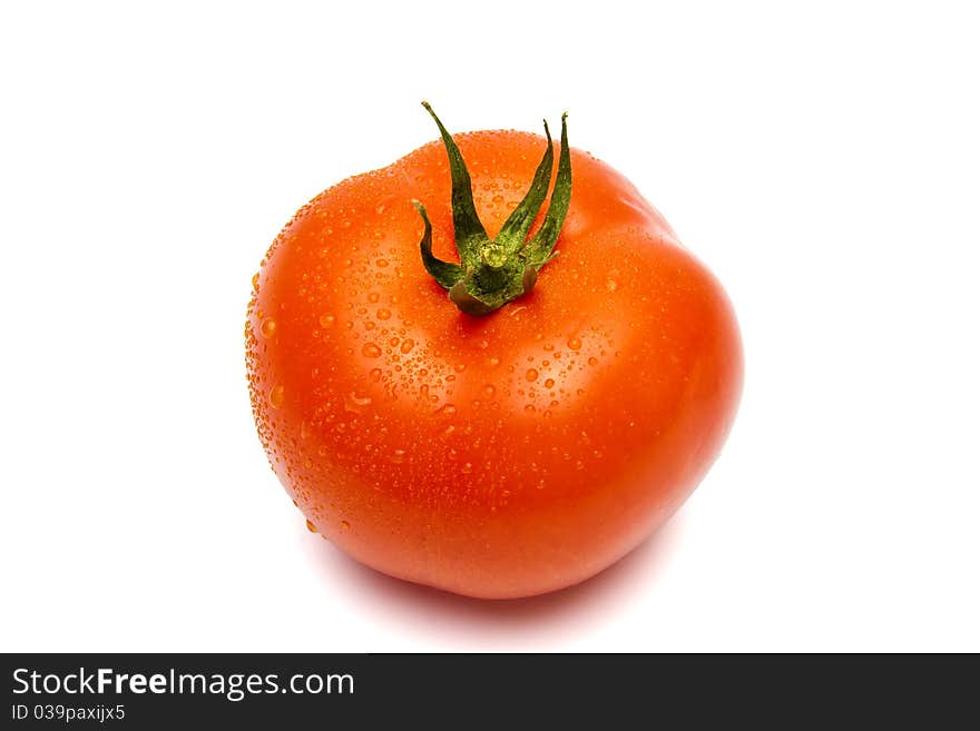 Fresh tomato with waterdrops on white