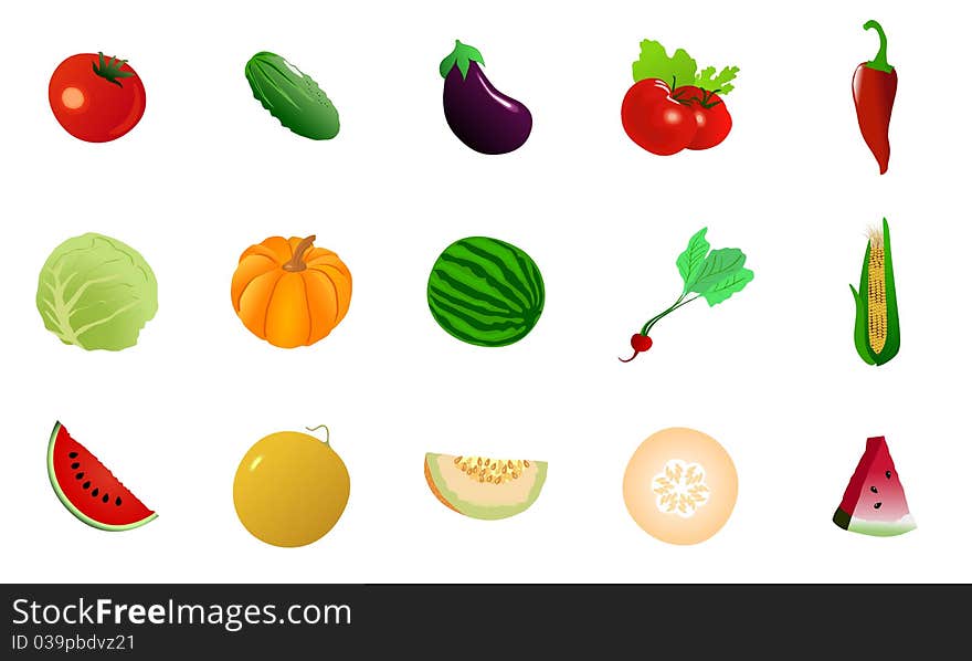 Set of vector illustration of vegetables. Set of vector illustration of vegetables