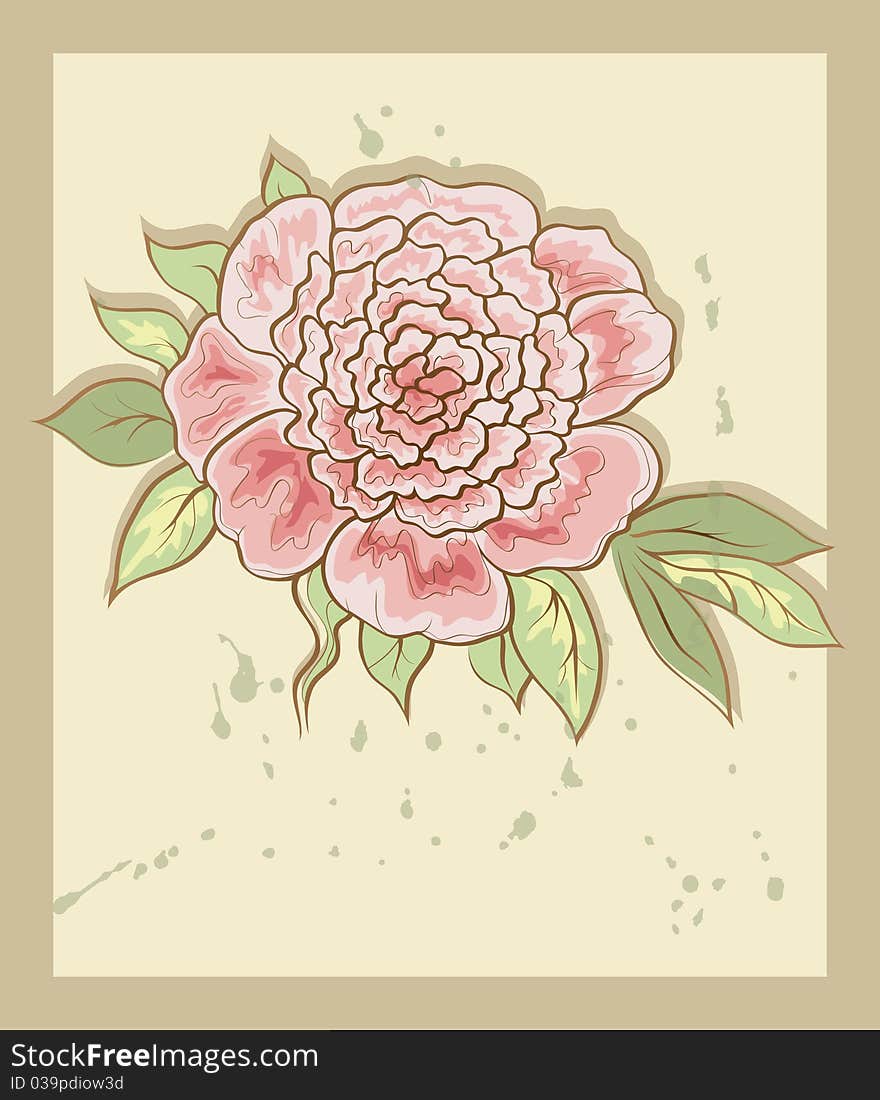 Vintage background with pink peony