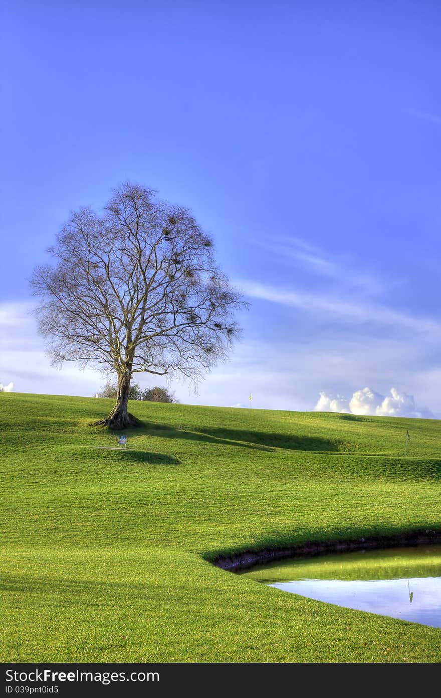 Beautiful landscape of golf club.