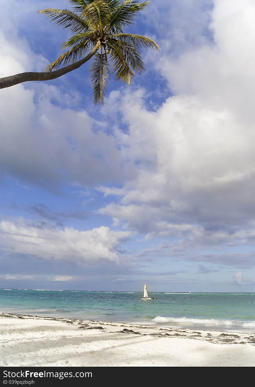 The small sailing boat near caribbean beach. Dominican republic. The small sailing boat near caribbean beach. Dominican republic.