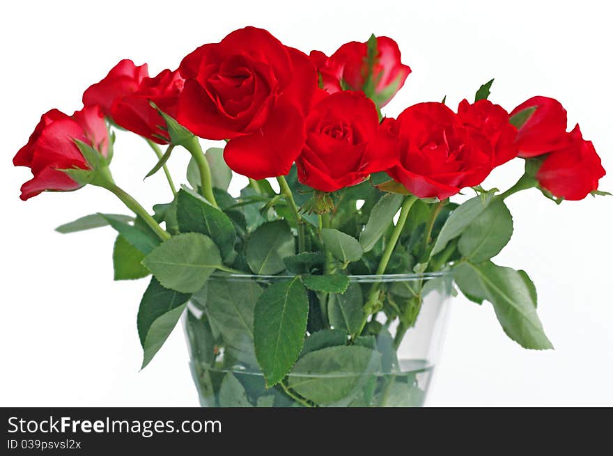 Bouquet Of Red Roses In Vase