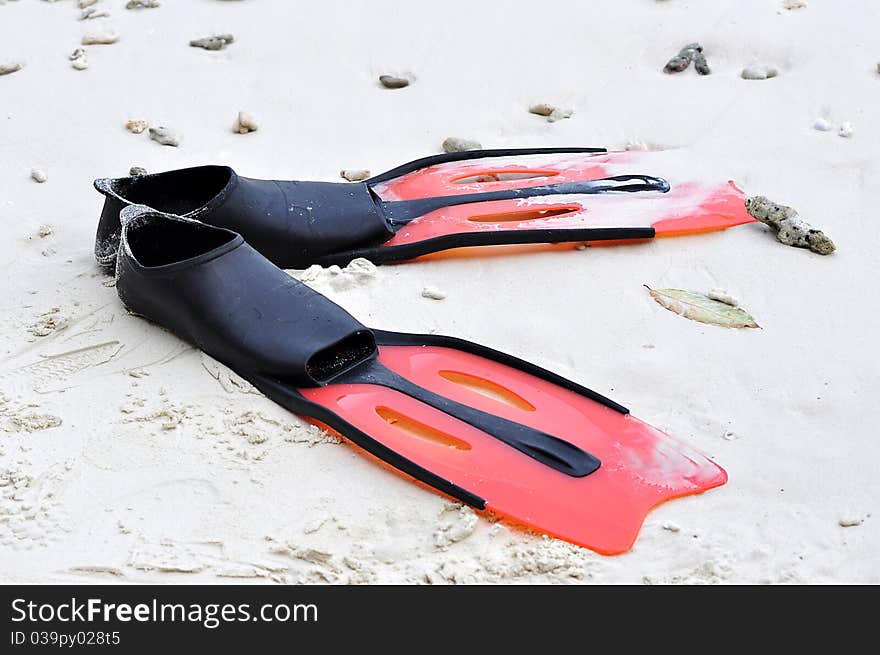 Snorkeling or Scuba Fins