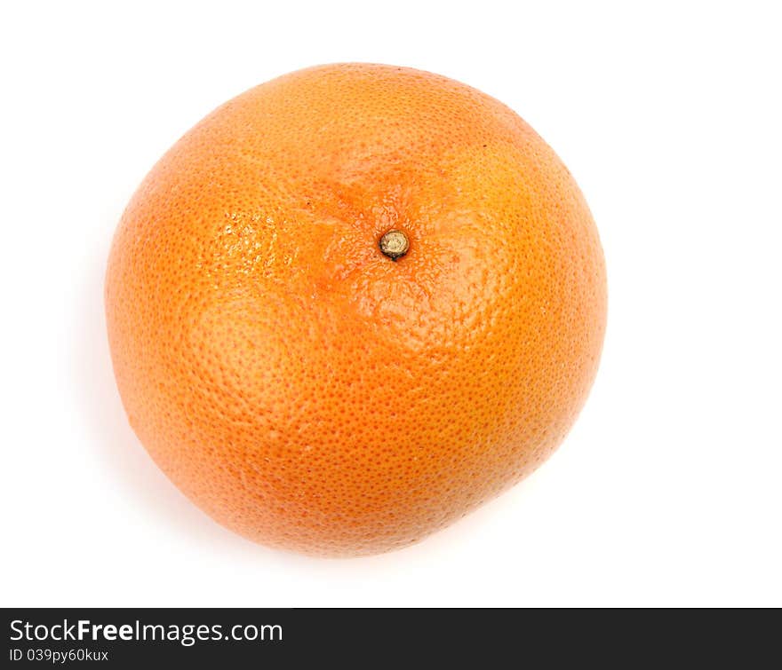 Large grapefruit closeup