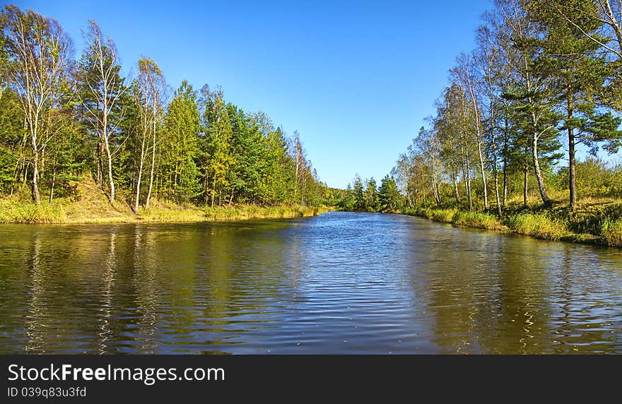 Beautiful lake with trees, springtime