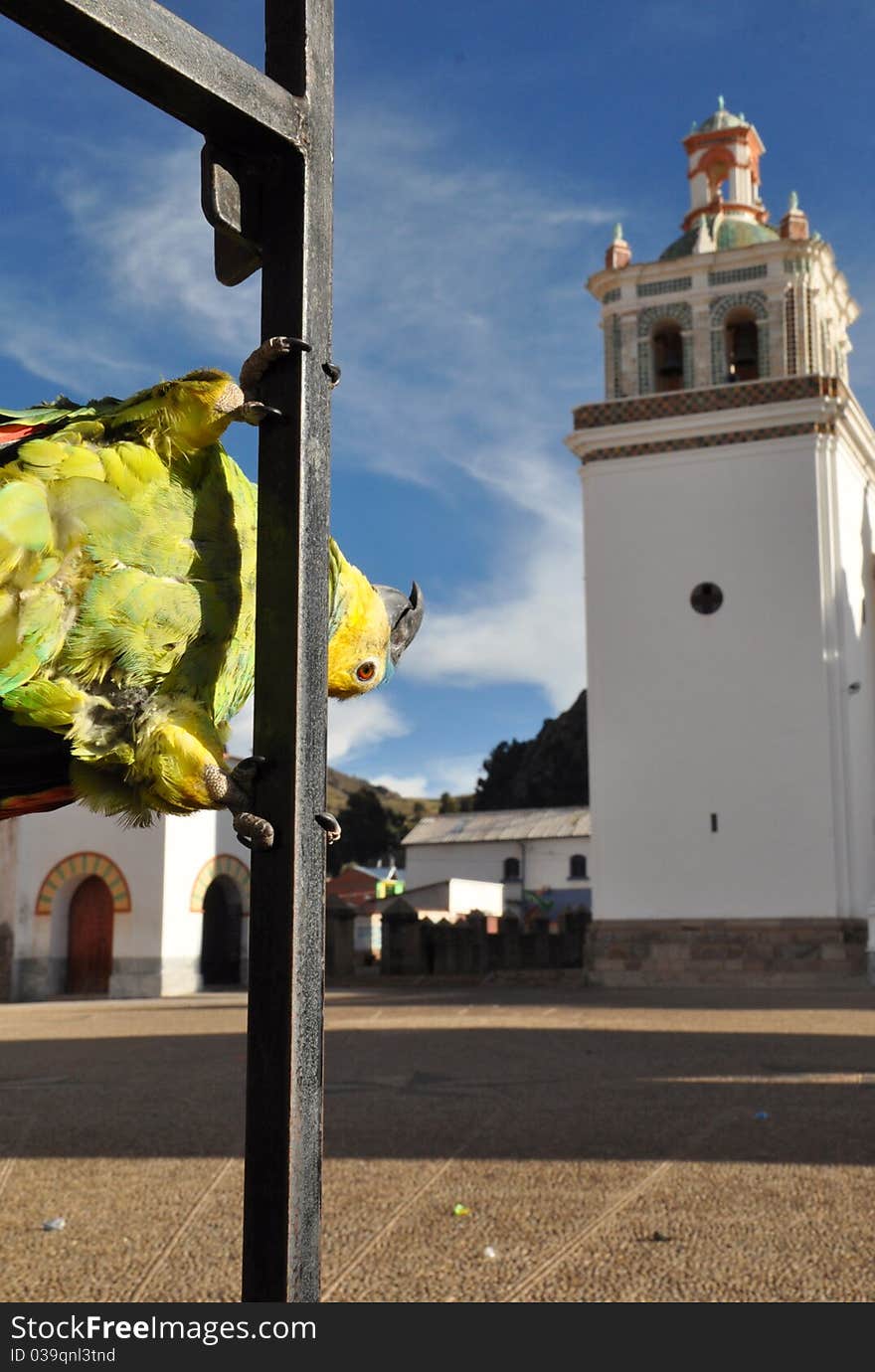 A parrot looks at Copacabana Basilica in Bolivia. A parrot looks at Copacabana Basilica in Bolivia.