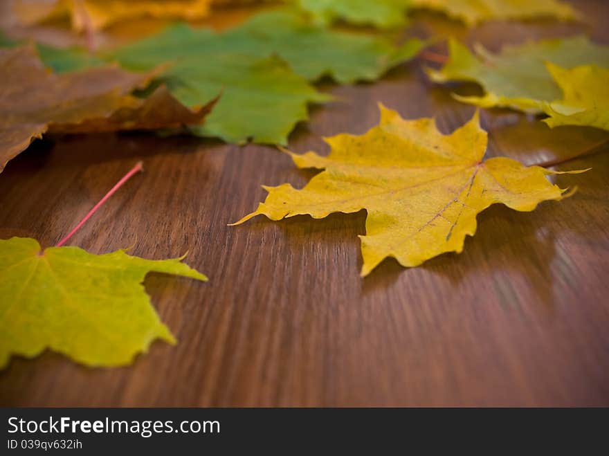 Autumn marple leaves ovwr wooden desk, shallow DOF. Autumn marple leaves ovwr wooden desk, shallow DOF