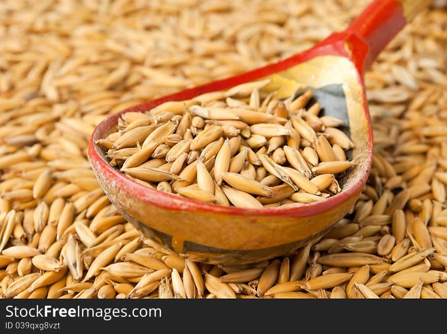 Oats grains in hohloma spoon. Oats grains in hohloma spoon