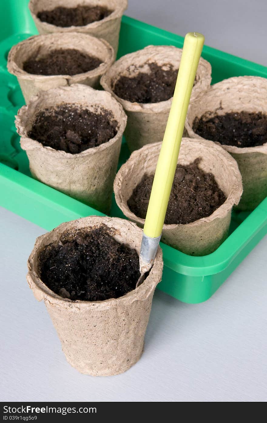 Peat pots for sprouts landing to a table