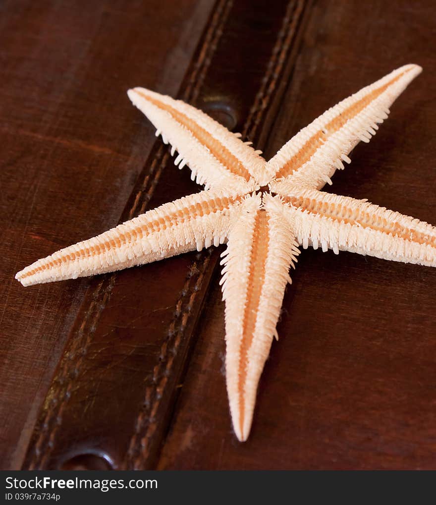 Starfish