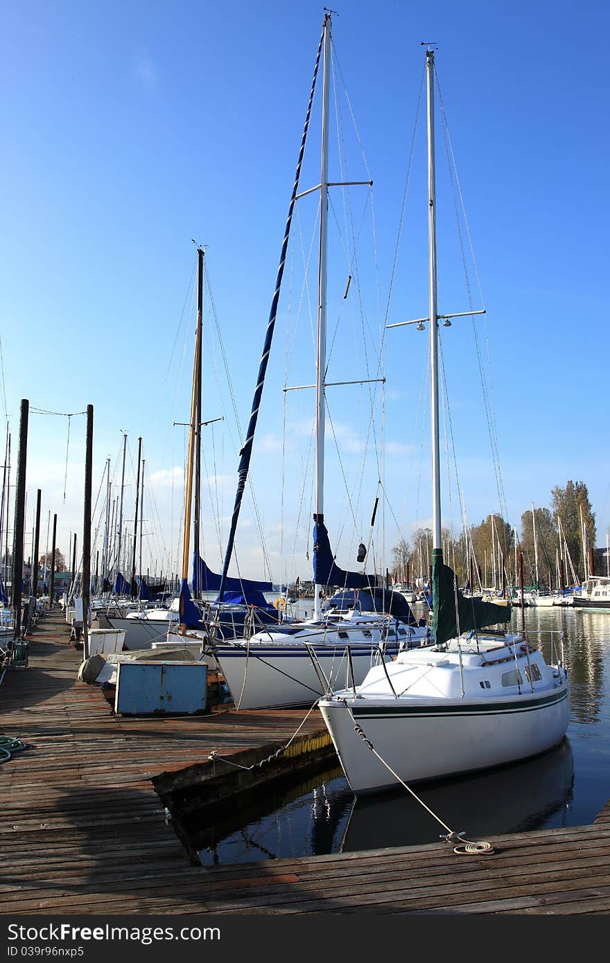 A marina environment.