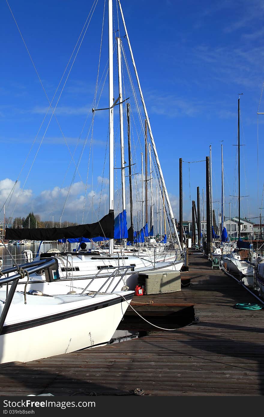 Orderly moored sailboats in a marina, Portland OR. Orderly moored sailboats in a marina, Portland OR.