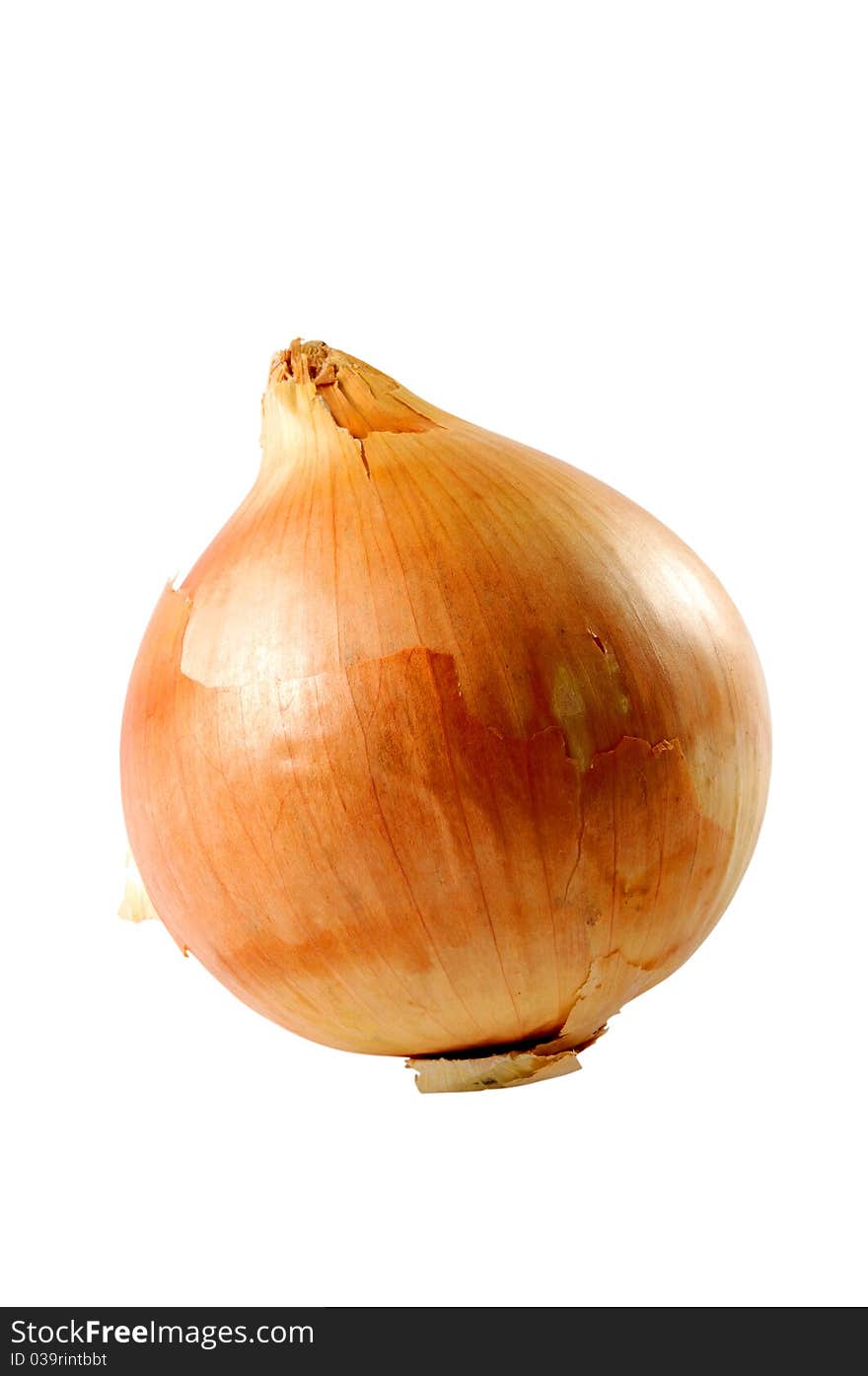 Onion Closeup