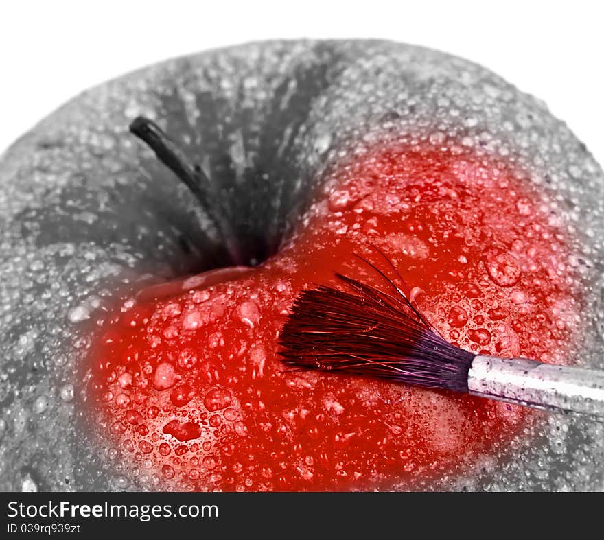 Red Apple And Brush.