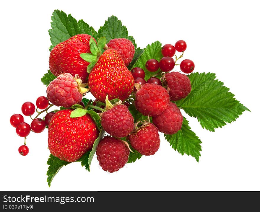 A pile of fresh ripe strawberries raspberries and currant. A pile of fresh ripe strawberries raspberries and currant