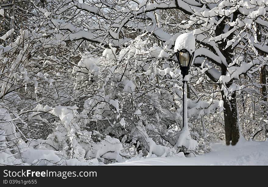 Snow covered street lamp