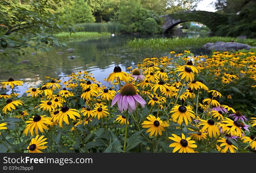 Gapstow bridge in summer central park, New York City