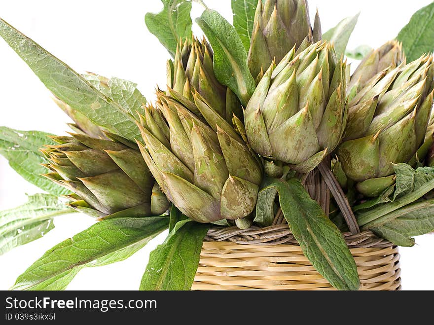 Fresh Artichokes