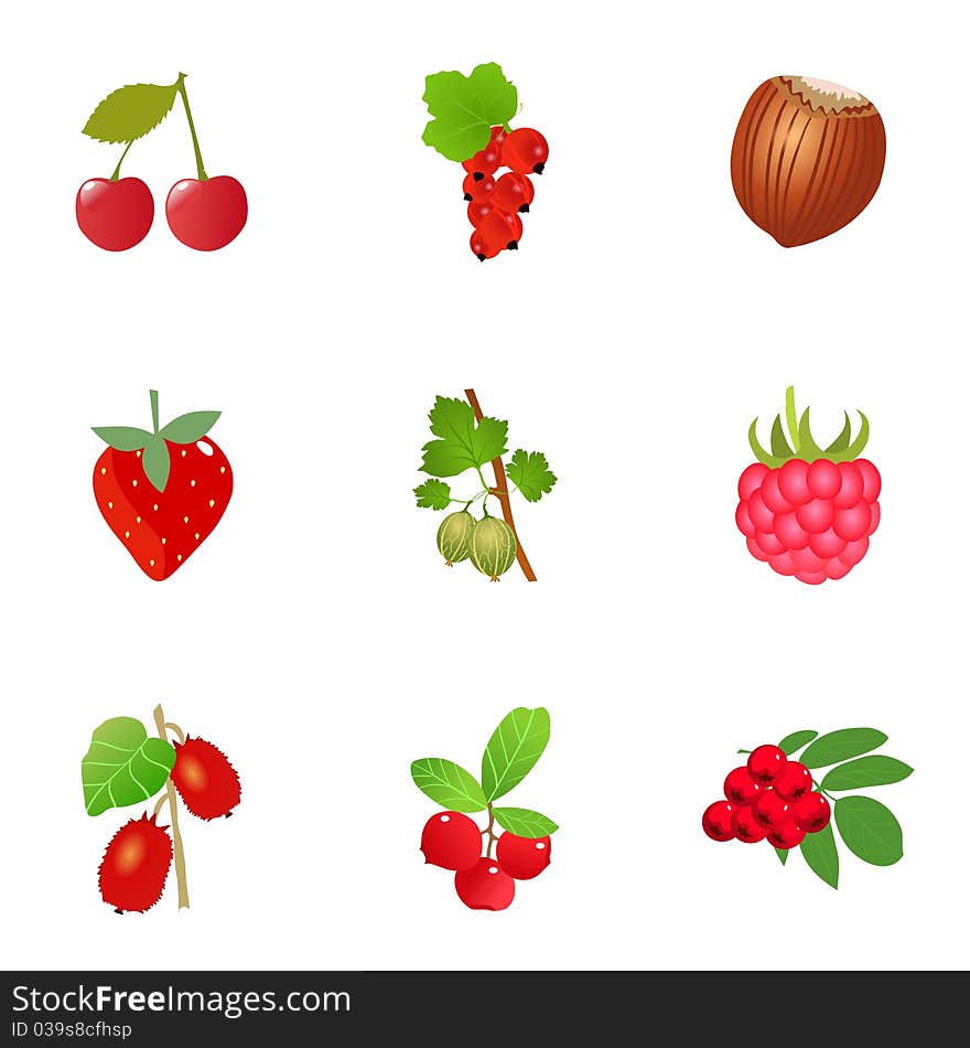 Set of vector fresh berries. Set of vector fresh berries