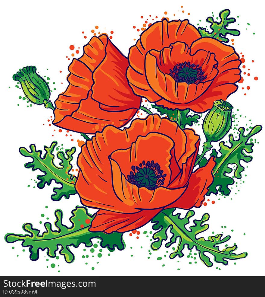 Bouquet of red poppies,  illustration