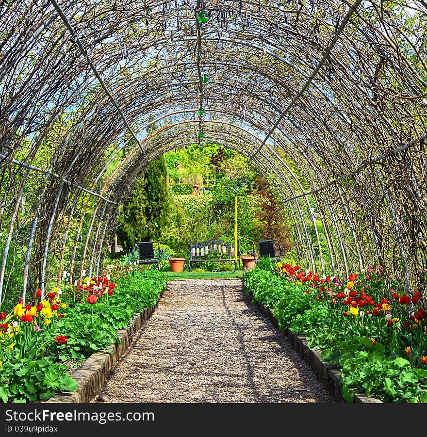 Garden of flowers