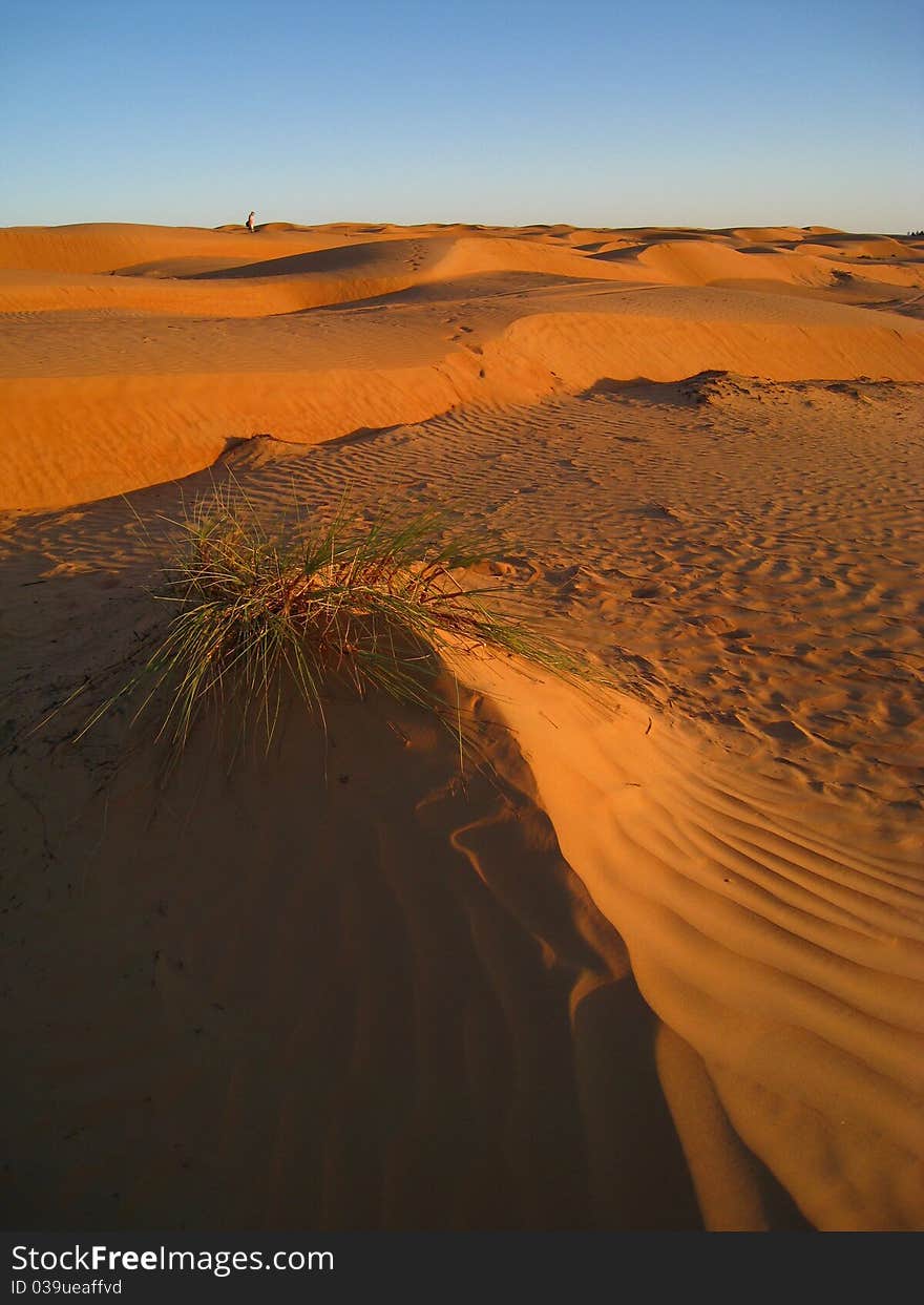 The Arabic Desert