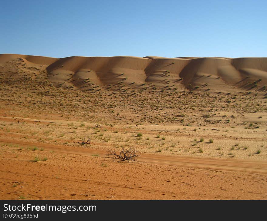 The Arabic Desert