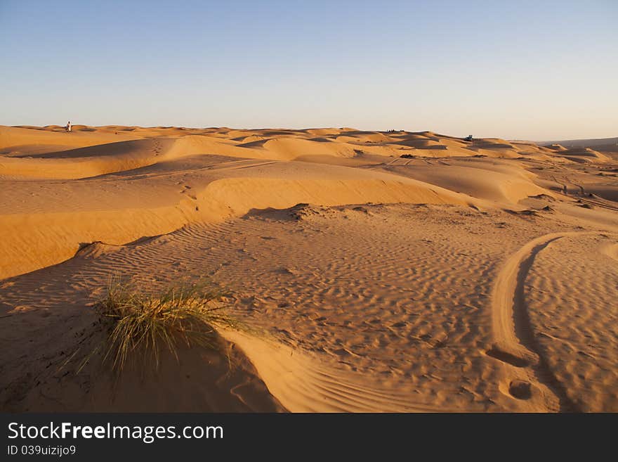 The Arabic Desert