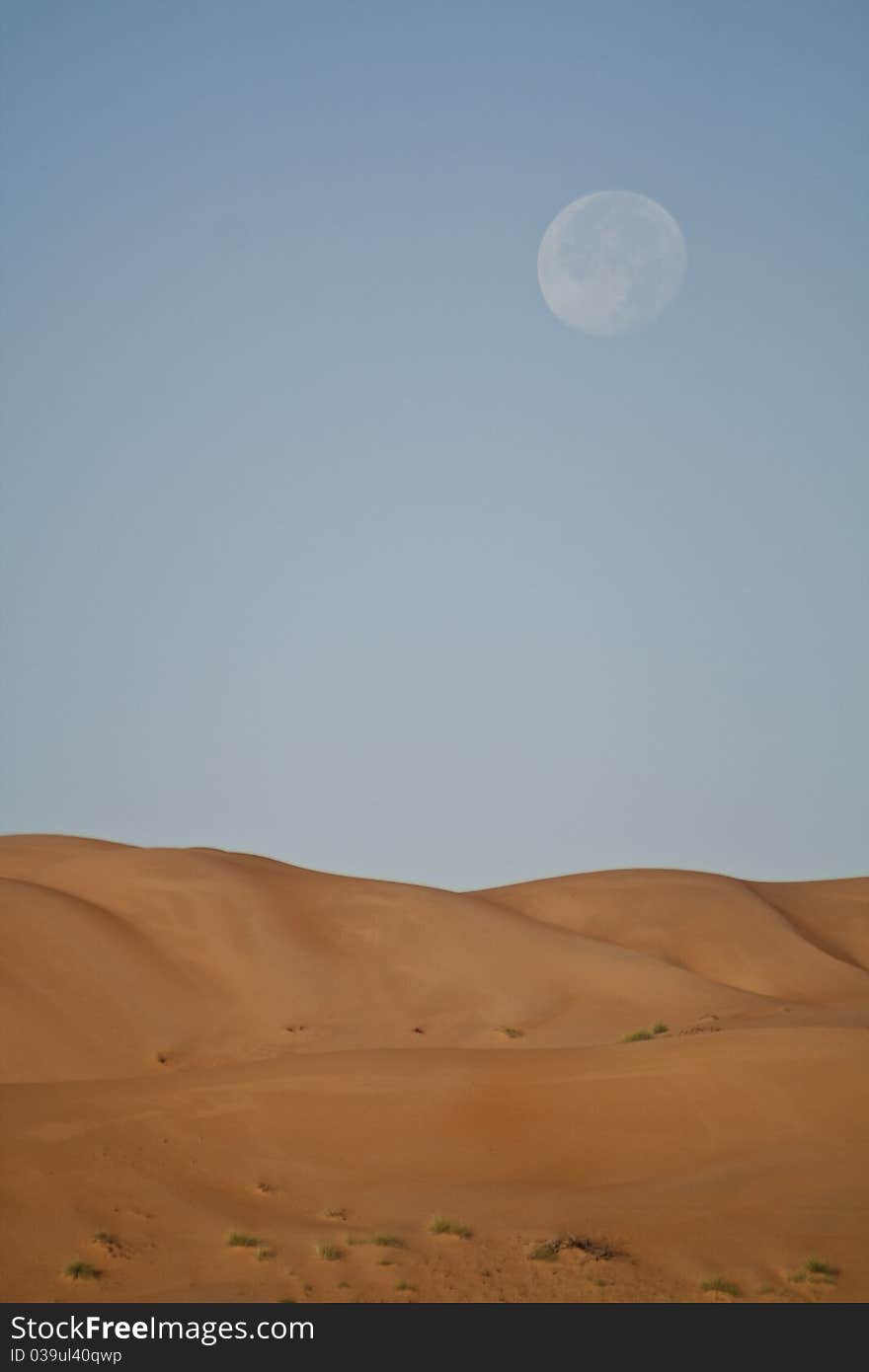 The Arabic Desert