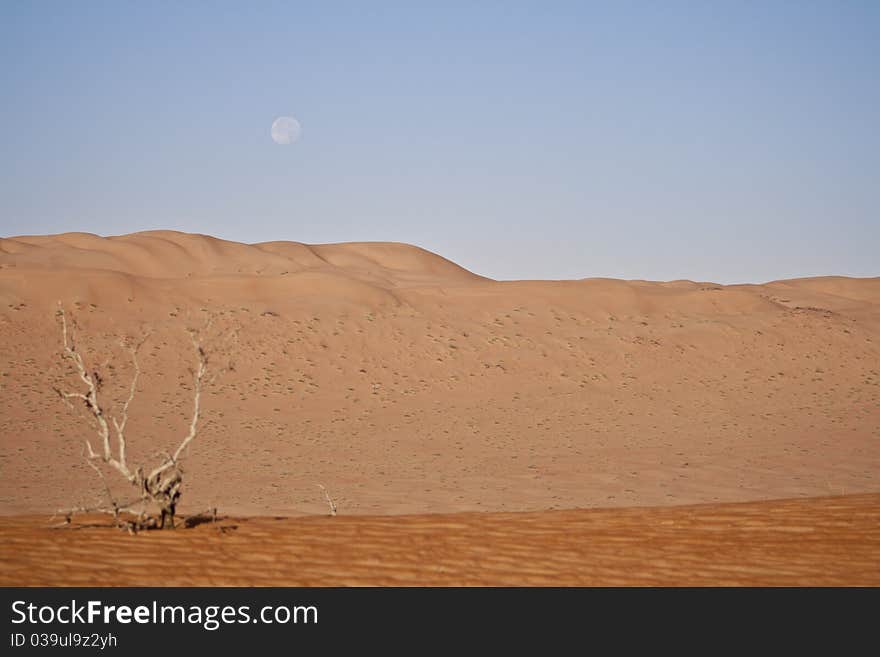 The Arabic Desert