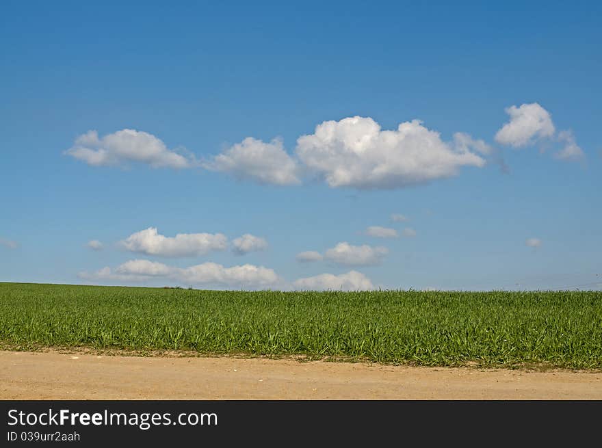 Field And Sky