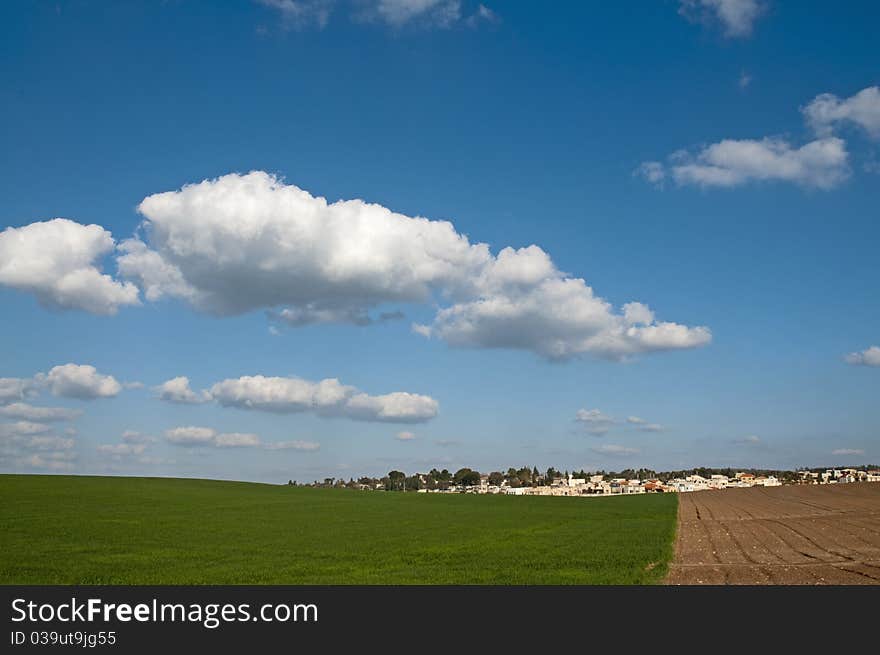 Field and sky