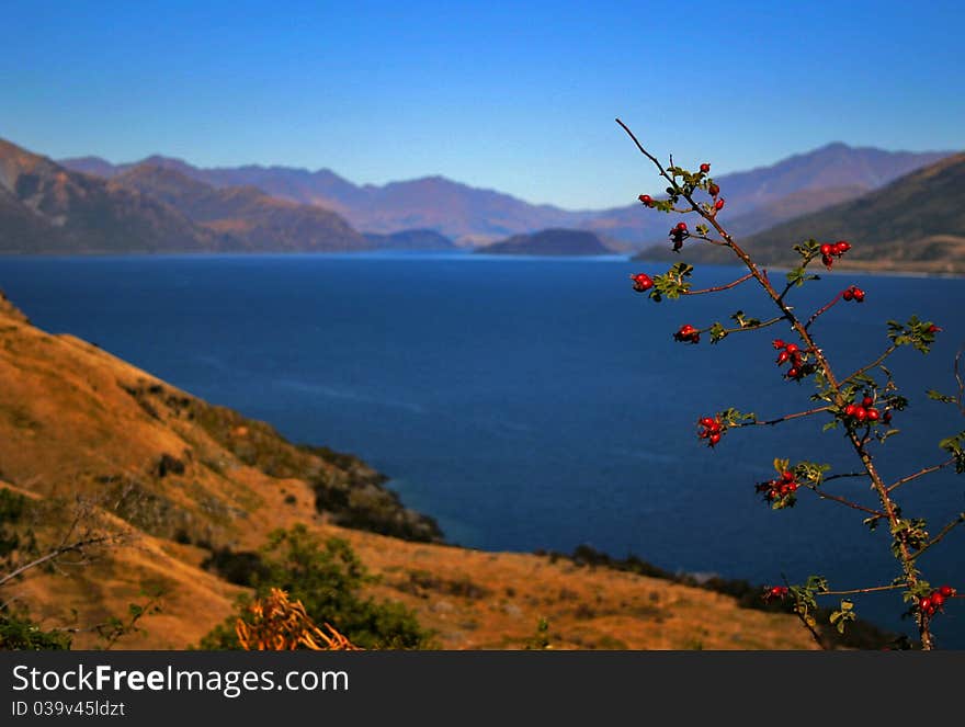 Lake Wanaka