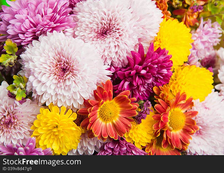 Beautiful multi-colored bouquet from chrysanthemums and other colors. Beautiful multi-colored bouquet from chrysanthemums and other colors