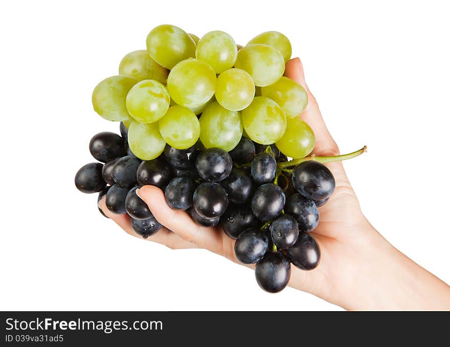 Grapes in female palms is isolated on a white background