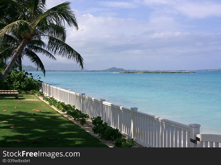 Waterfront property with palm tree and blue water