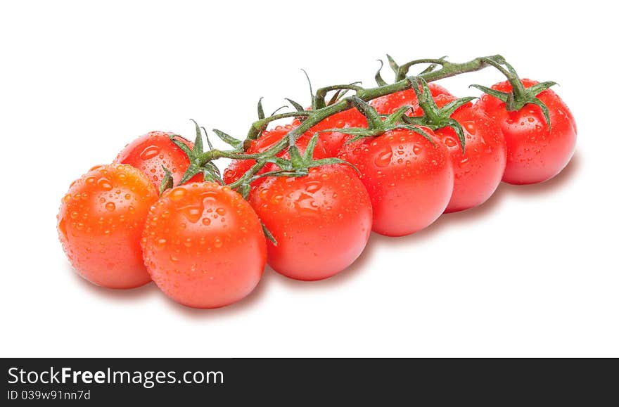 Cherry Tomatoes On The Branch With Water Drops