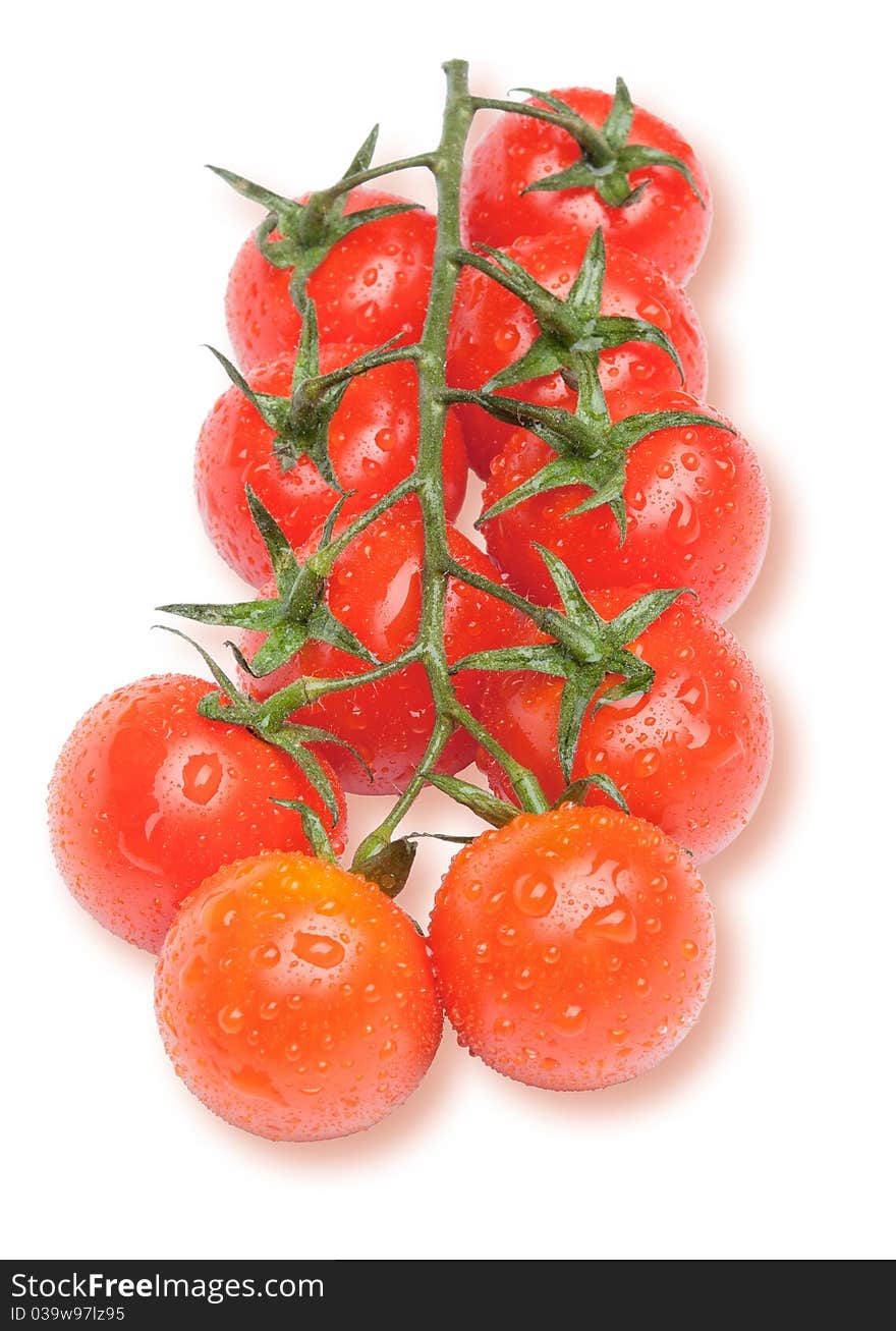 Cherry Tomatoes On The Branch With Water Drops